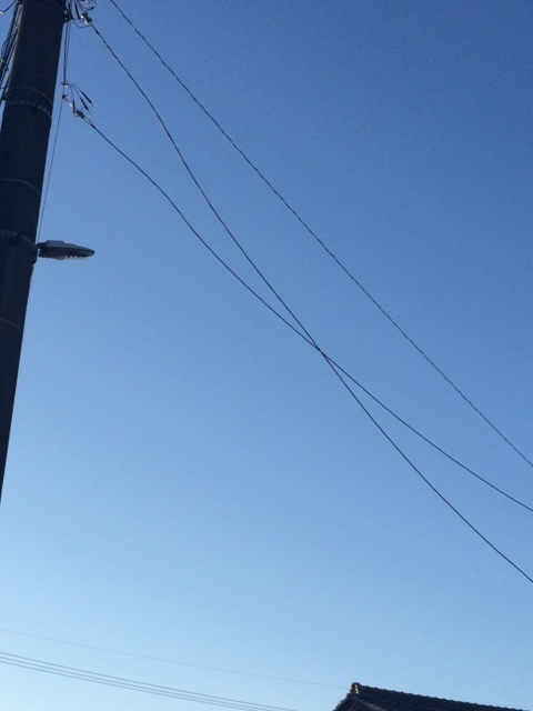 2月7日-2.jpg