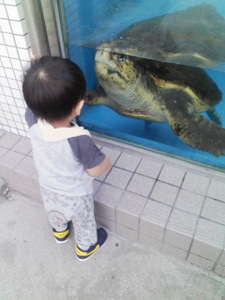 カメときいちゃん.jpg